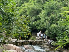 -广州白江湖森林公园