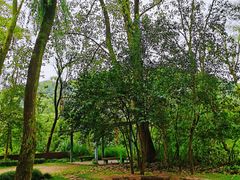 -西湖风景区-江洋畈生态公园