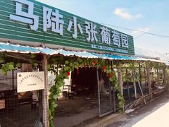 -马陆小张葡萄园农家乐