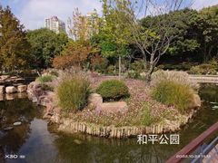 -和平公园