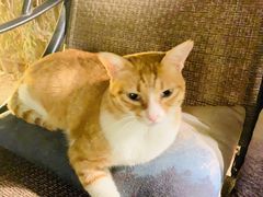 -厦门良筑精品酒店(厦门中山路店)