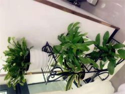 -痘博士昆明·国际祛痘领跑品牌