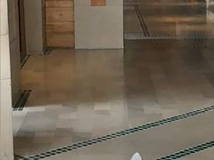 -浅深Cheersum(曹杨店)