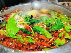 -清真·锦翔炝锅鱼(明德门店)