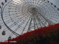 -琴岛之星摩天轮