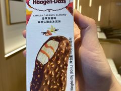 香草焦糖扁桃仁脆皮冰淇淋装-哈根达斯(泉州万达店)