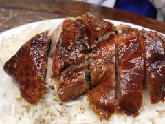 烤鸭饭-陈光记烧腊店(罗保博士街店)