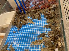 -半岛听涛蒸汽海鲜自助(K11店)