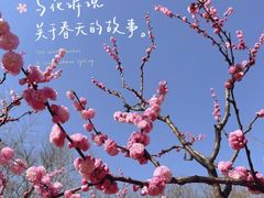 -北海公园