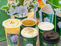 -鲜芒多·杨枝甘露(摩尔城A座10楼店)