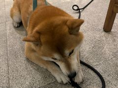 -三目仓咖啡(贤南路店)