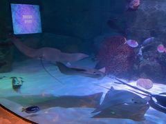 -沈阳海洋探索中心