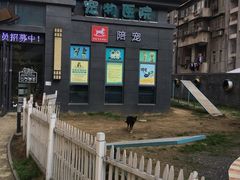 -奈斯宠物医院·核磁CT·异宠专科·内镜(中南店)