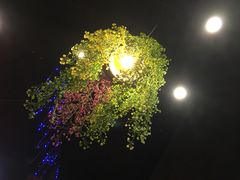 -年轮烧烤·羊蝎子·烤鱼(星湖街店)
