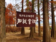 -四明湖