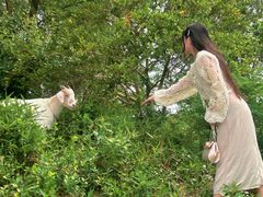 -华东政法大学(松江校区)