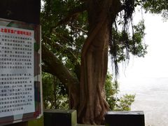 -大嶝英雄三岛战地观光园