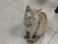 -清香源清真牛肉拉面(文化宫店)