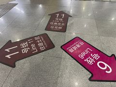 -东方体育中心(地铁站)