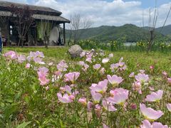 -东钱湖旅游度假区