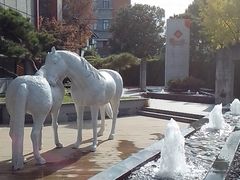 -得丘礼享谷·玉兰苑