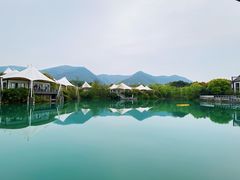 -帐篷客·溪龙茶谷度假酒店