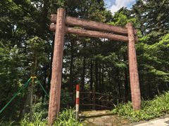 -广州市石门国家森林公园