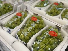 -西郊国际农产品交易中心