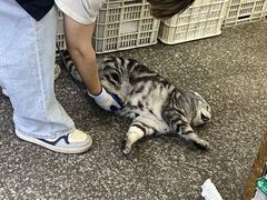 -地锅公社·现炒地锅鸡·地锅鱼·夜宵(罗锦路店)