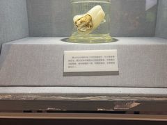 -唐山抗震纪念馆