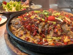 -老板恋上鱼(恒隆广场店)