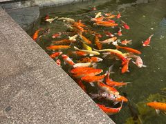 -惠食佳(滨江大公馆店)