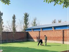 -北京京卫宠物寄养训练中心