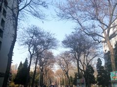 -北京邮电大学