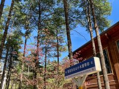 -洛阳白云山景区