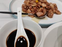 -丁老爷子苏香圆