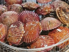 -海味当家·蒸锅海鲜(星海公园店)
