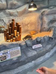 -Zoolung Zoolung动物主题公园(海信广场店)