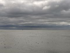 -索伦嘎·传统涮(海拉尔总店)