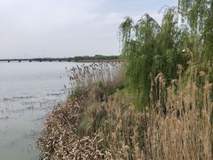 -南湖湿地公园