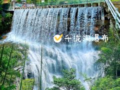 -广州市流溪河国家森林公园