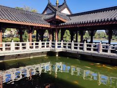 -惠州西湖丰渚园