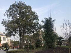 -山湖温泉