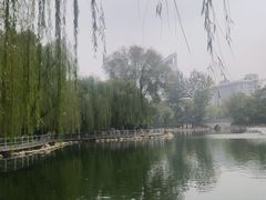 -莲湖公园