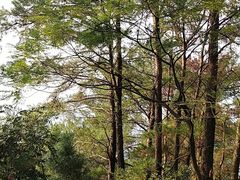 -白云山风景名胜区