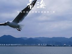 -海埂大坝