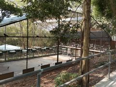 -广东茂名森林公园