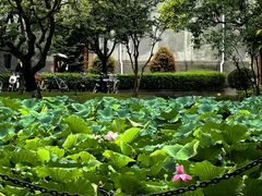 -广西大学(大学东路校区)