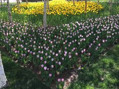 -长春公园(普阳街道)