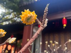 -钱王祠